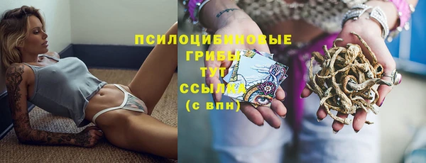 PSILOCYBIN Алексеевка
