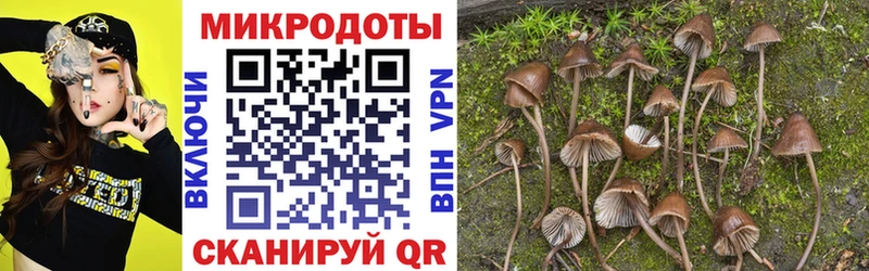 даркнет сайт  Почеп  Галлюциногенные грибы MAGIC MUSHROOMS 